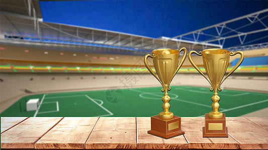 他对胜利的 他对胜利的