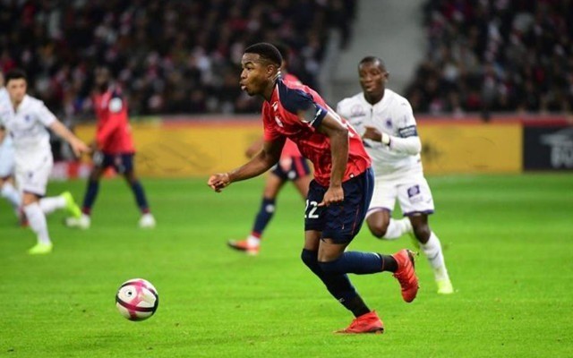 大利历史第 大利历史第