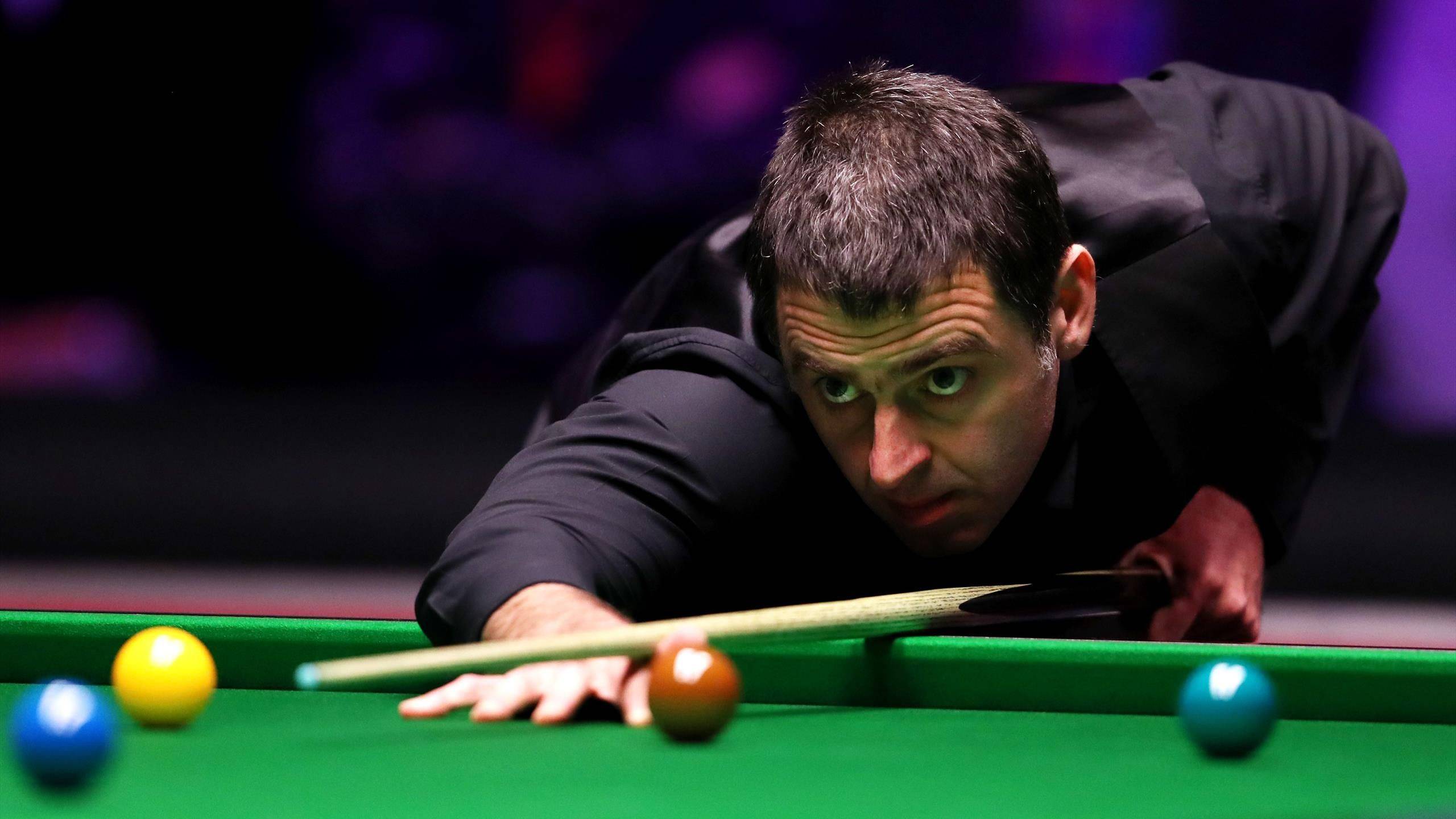 和自媒体快 和自媒体快