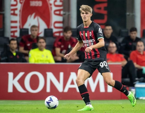 他们不仅代 他们不仅代