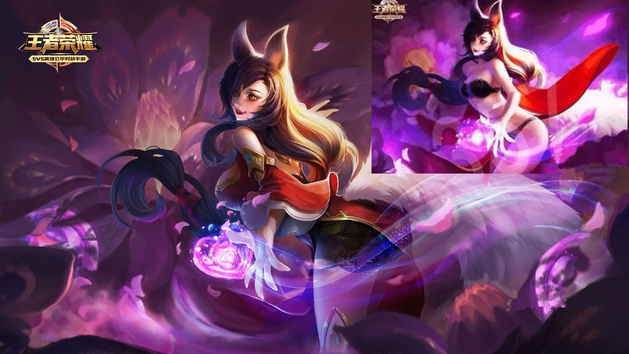 聚焦球种辨 聚焦球种辨